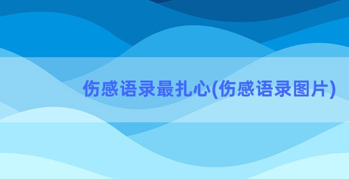 伤感语录最扎心(伤感语录图片)