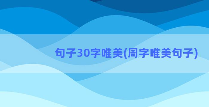 句子30字唯美(周字唯美句子)