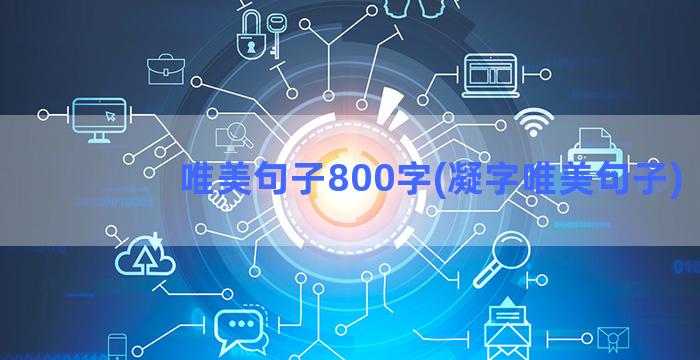 唯美句子800字(凝字唯美句子)