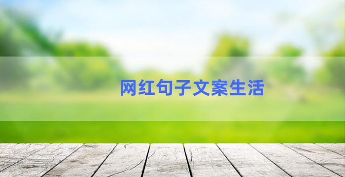 网红句子文案生活