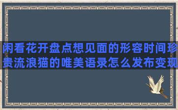 闲看花开盘点想见面的形容时间珍贵流浪猫的唯美语录怎么发布变现